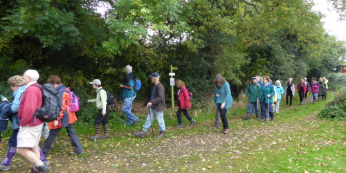 Shillings Lane