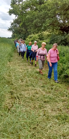 Cut field headland