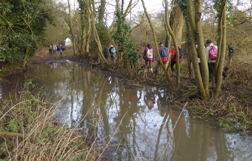 Flooded path