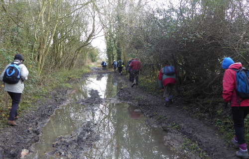 Flooded path