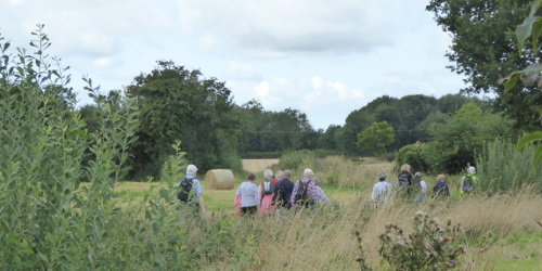 Walking through countryside