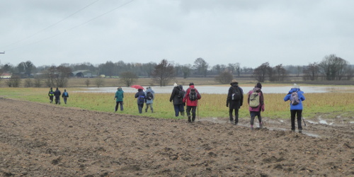 Flooded fields