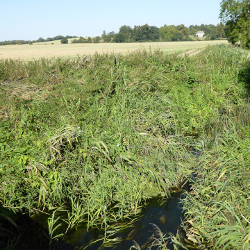 Scene near water