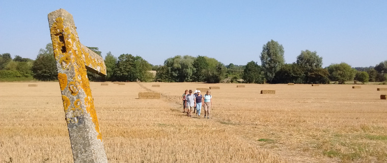 Crossing field with bent fingerpost sign