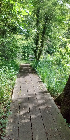 Board walk