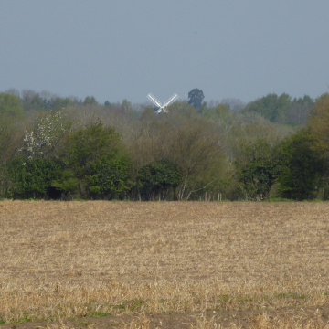 Dereham Mill