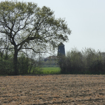 Yaxham Mill