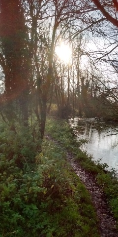 track beside river