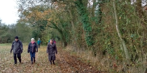 Leaf covered track