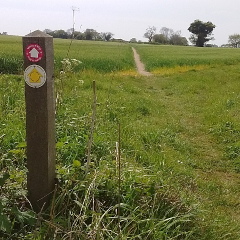 Footpath marker post