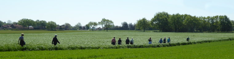 track through fields