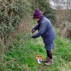 clearing path before walk