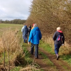 Wet Friday Walk