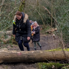 Over a fallen tree