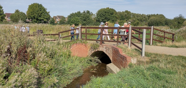 Watermeadow bridge