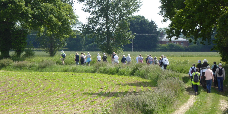 Open Countryside