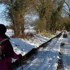 Snowy Lane