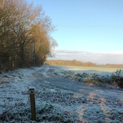 frosty path