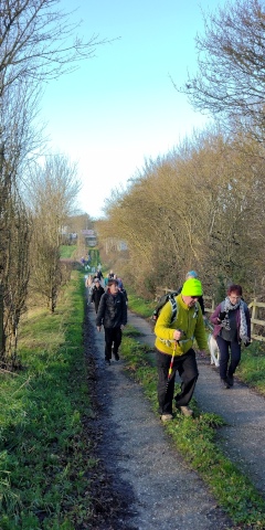 agricultural access ramp