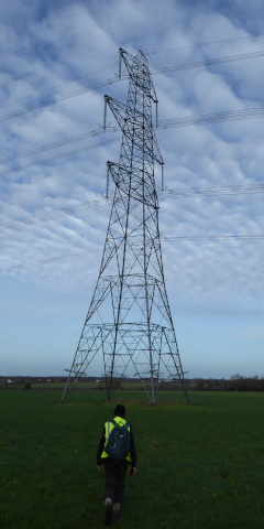 Pylon