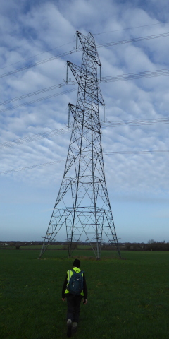 Pylon