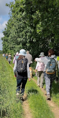 Walking by trees