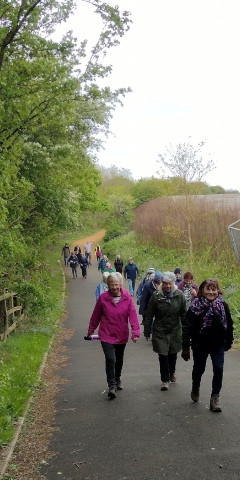 Path alongside A47