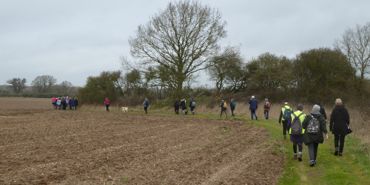 Diversion along field edge