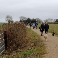 Wensum Way Extension