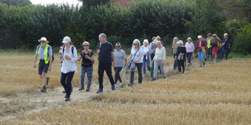 Walking across a harvested field