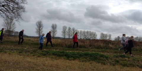 Walking under a moody sky