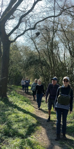walking on tree lined track