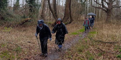 Wet walkers