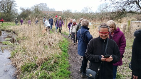 Walking alongside water