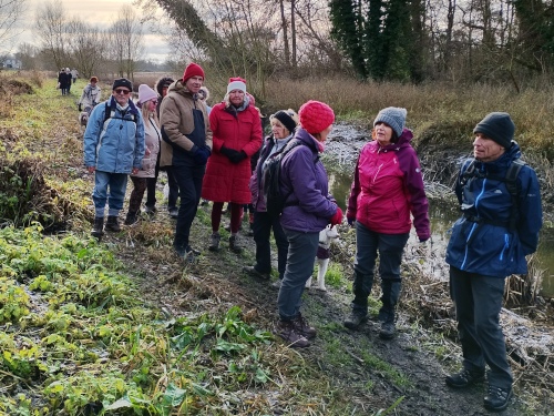 Paused alongside stream