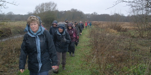 Crossing Rush Meadow in the rain