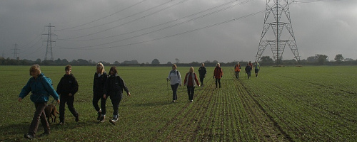 Crossing field at Westfield