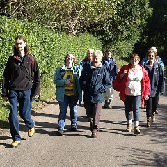 Walking on road