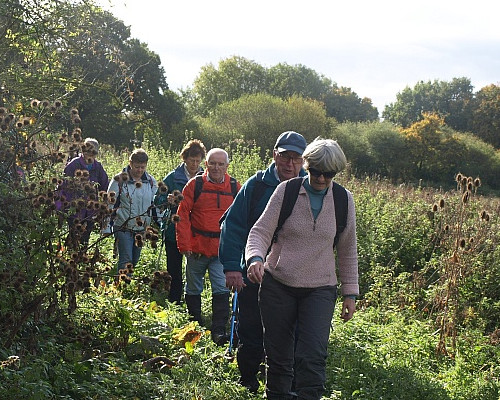 Single file on boggy ground