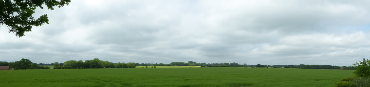 Green panorama