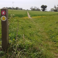 walk marker post