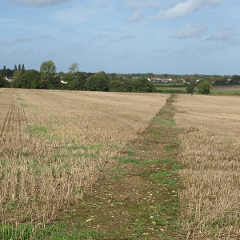 track across harvested
field