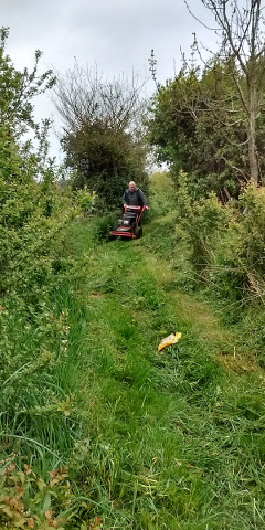 Cutting Restricted Byways 30 and 31