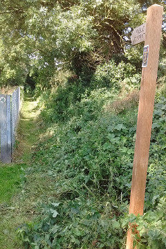 Finger post with Dereham WAW sign