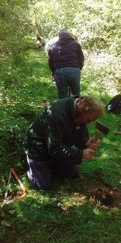 Clearing tree stumps on RB28