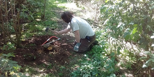 Clearing tree stumps on RB28